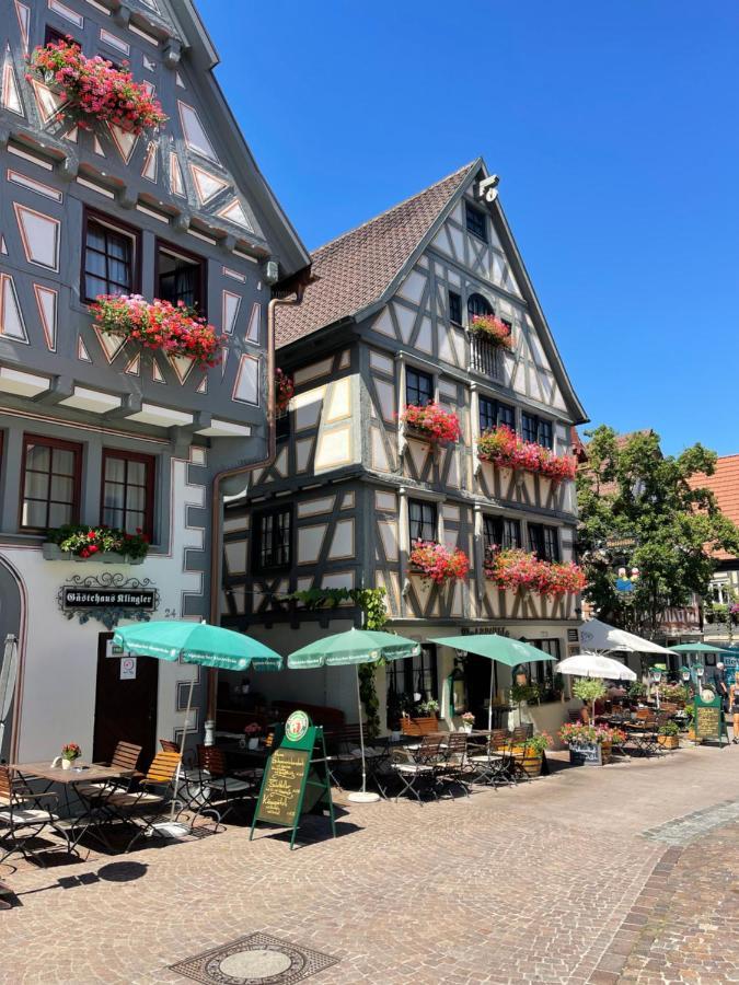 Gaestehaus Klingler Besigheim Ngoại thất bức ảnh